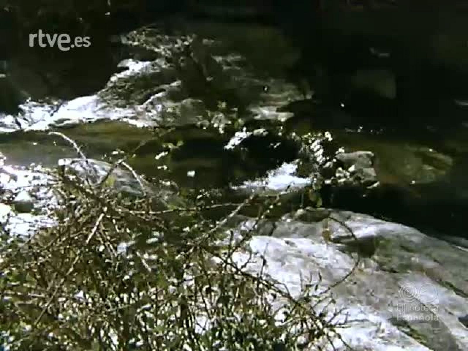 ESE APRENDIZ DE RIO - Documentales Color | Ver