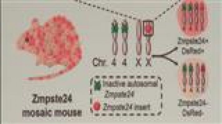 Panorama Regional - Panorama Regional 2 - 09/12/14