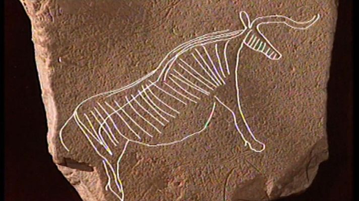 Historia de lo cotidiano - Estrellas de piedra