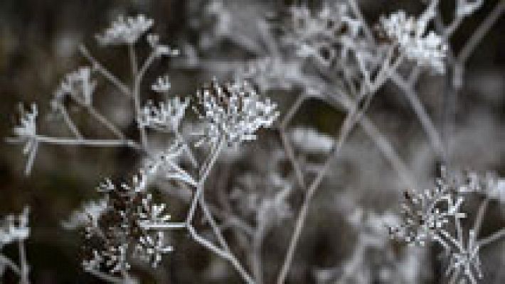 Informativo de Madrid - El tiempo en la Comunidad de Madrid - 10/12/14
