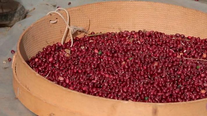 RTVE Cocina - Alubia roja de Anguiano