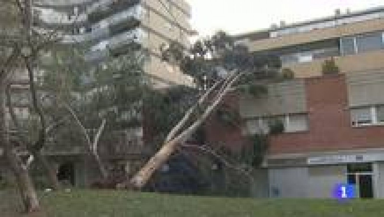 L'Informatiu 2 - 10/12/2014