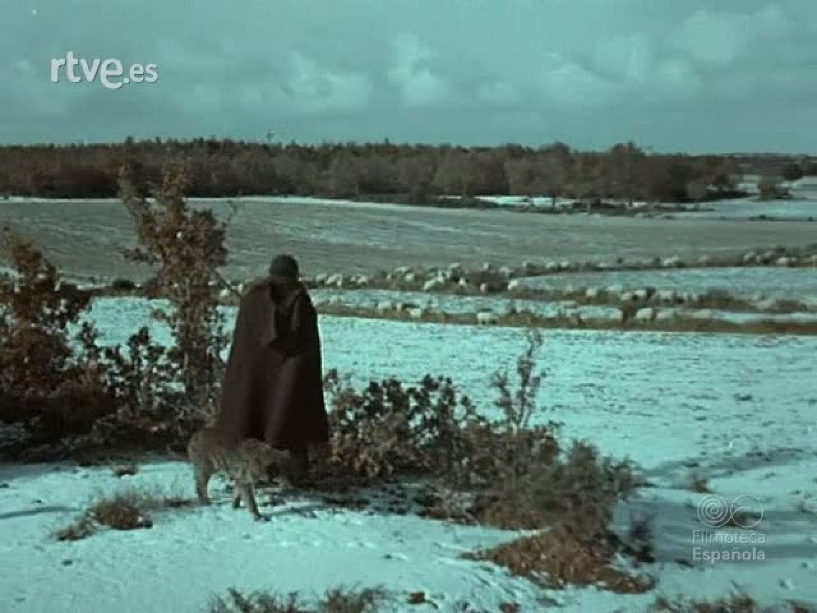 LA FIRA DE SANTA LLUCIA - Documentales Color | Ver