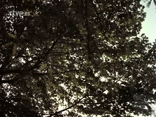 Documentales Color - GOYA