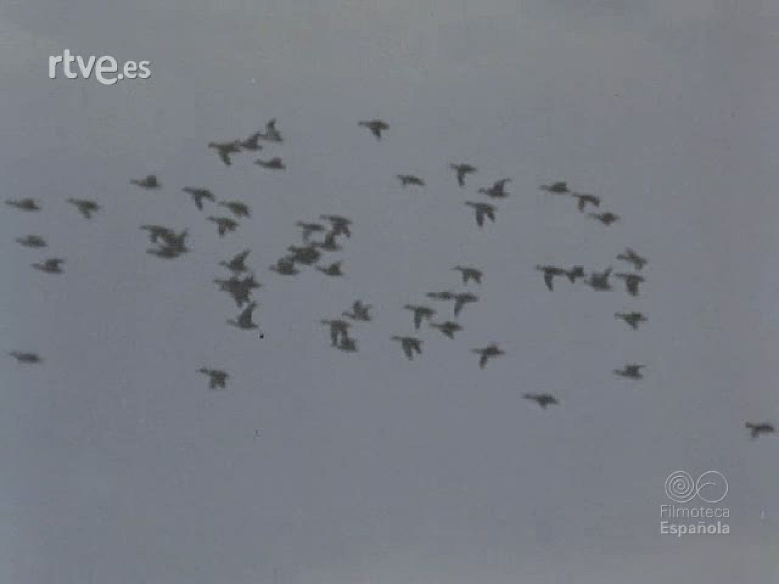 INVIERNO EN ESPAÑA - Documentales Color | Ver