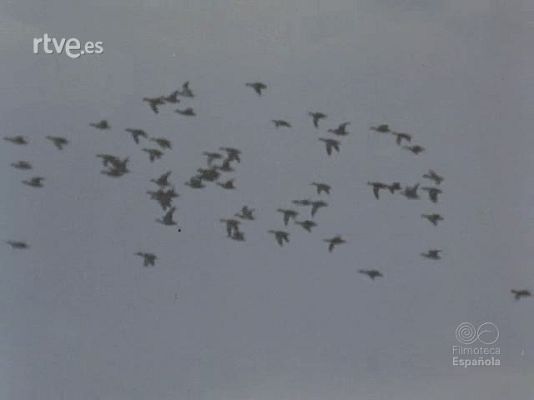 Documentales Color - INVIERNO EN ESPAÑA