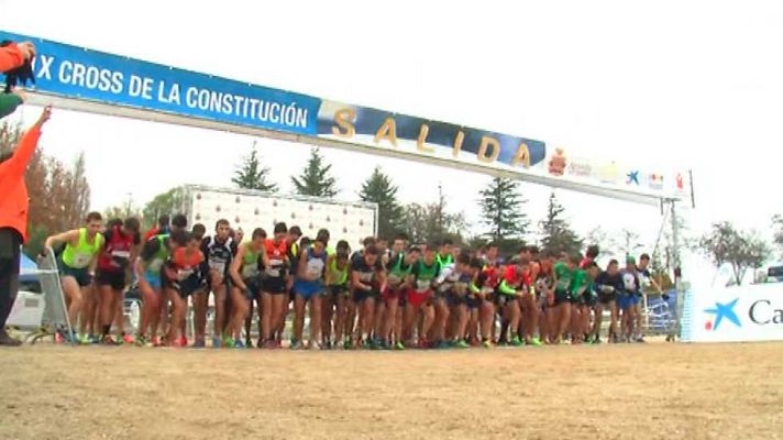 Cross - Cross de la Constitución de Aranda de Duero. Resumen