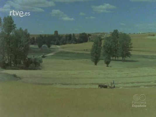 Documentales Color - LEON