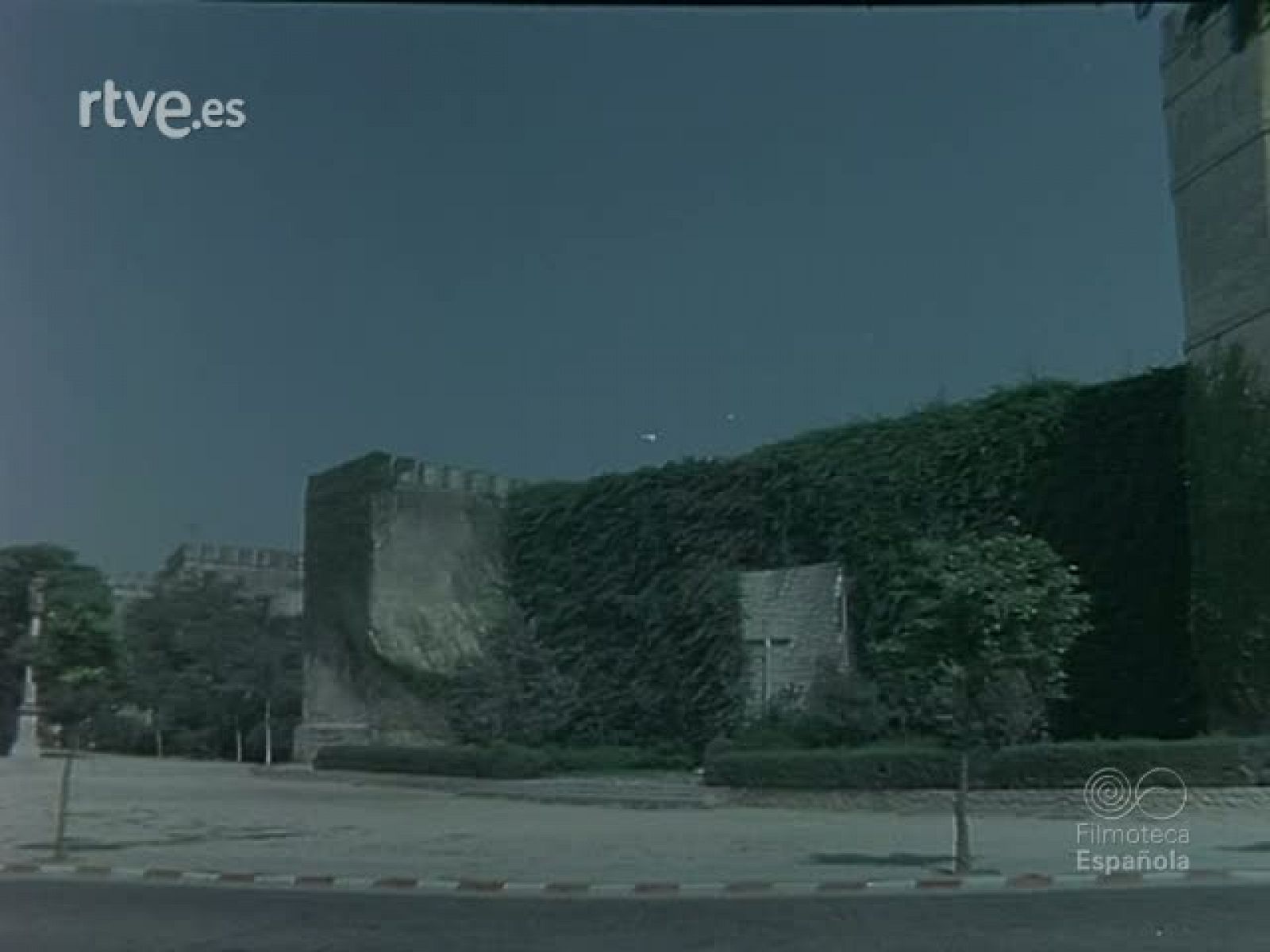 JEREZ Y SU VENDIMIA : VINO CABALLO Y TORO - Documentales Color | Ver