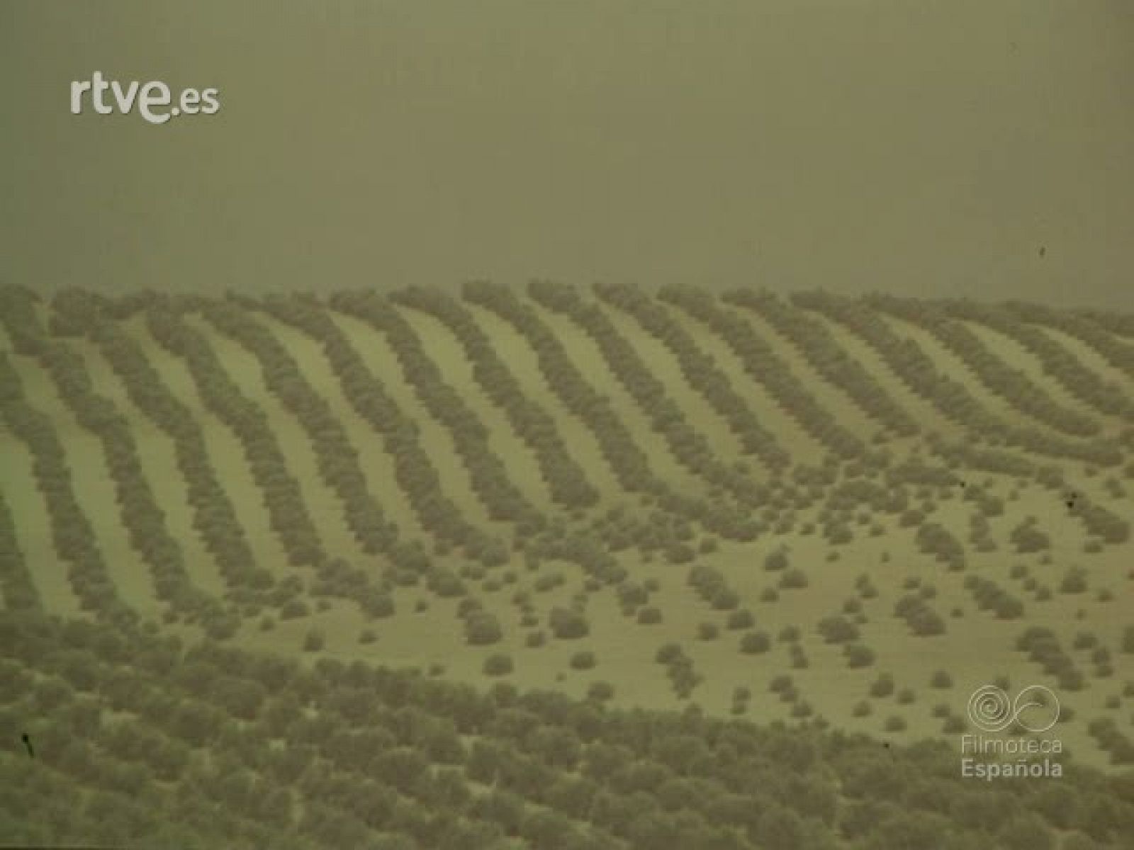 LUZ Y SOL DE ANDALUCIA - Documentales Color | Ver