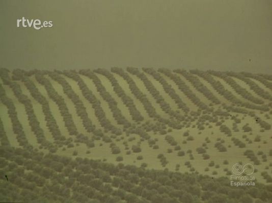 LUZ Y SOL DE ANDALUCIA