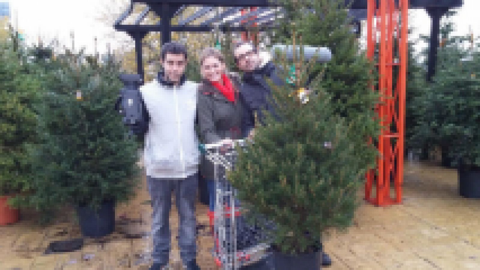 El árbol de Navidad, ¿natural o artificial?