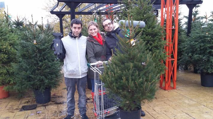 Aquí la Tierra - El árbol de Navidad, ¿natural o artificial?
