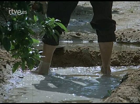 Documentales Color - NARANJAS DE ESPAÑA