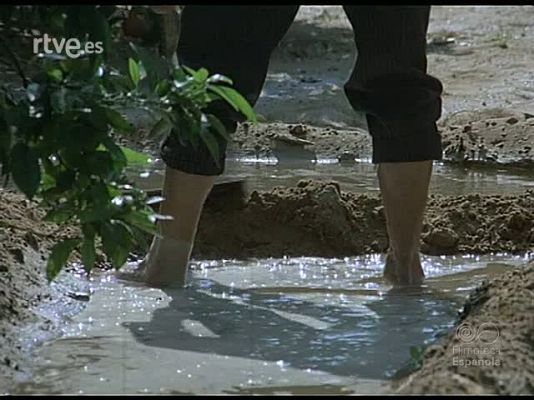 Documentales Color - NARANJAS DE ESPAÑA