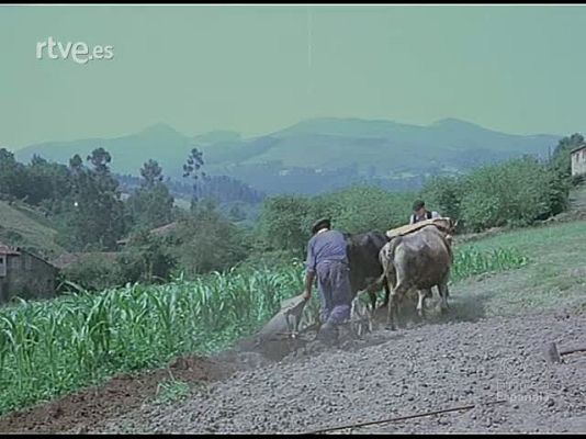 Documentales Color - NUEVOS HORIZONTES PARA VIZCAYA