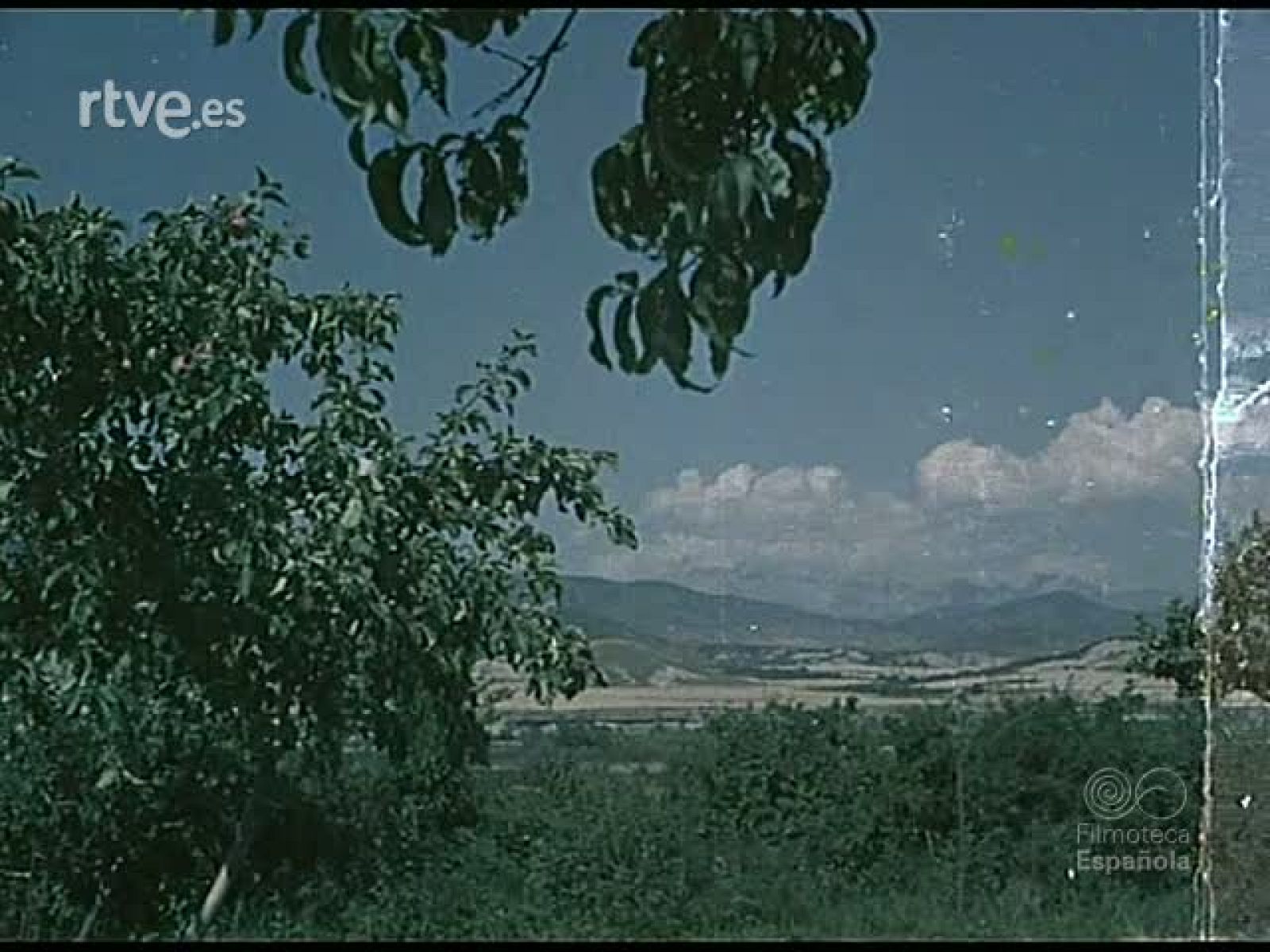 POR EL CAMINO DE LA JOTA - Documentales Color | Ver