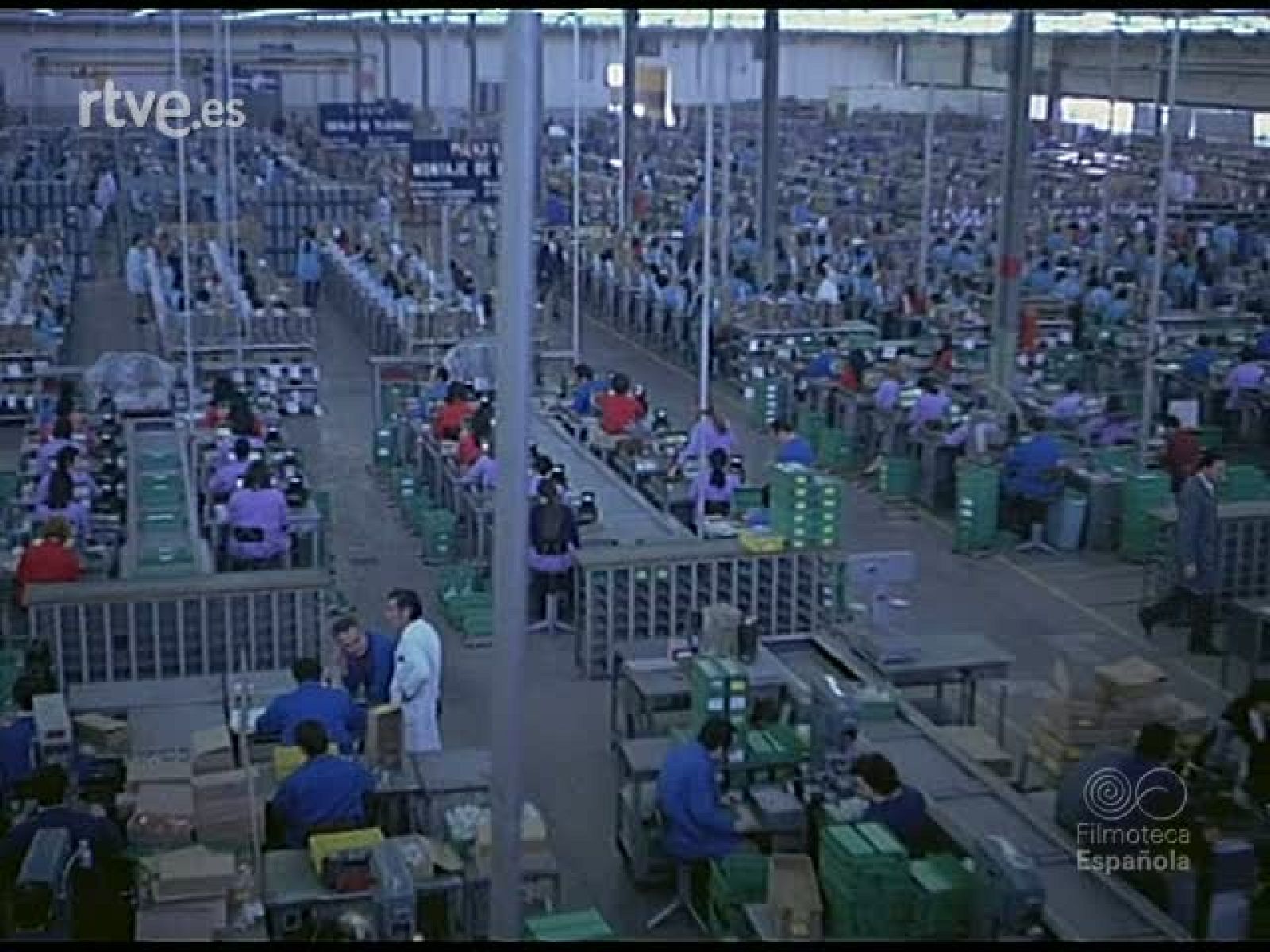 POR LOS CAMINOS DEL AIRE - Documentales Color | Ver