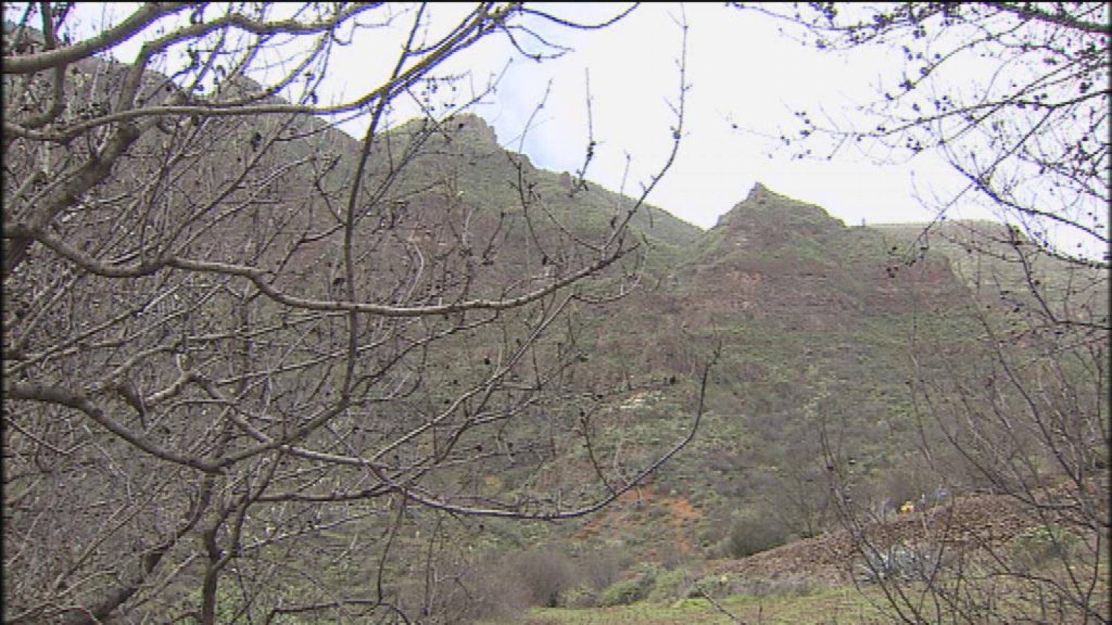 Telecanarias - 14/12/14 | Ver