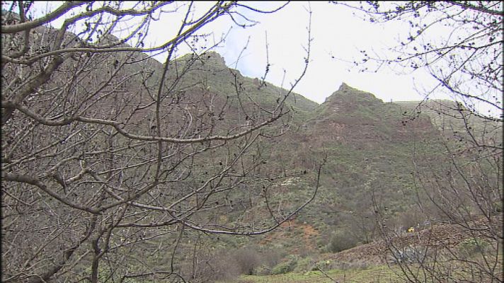 Telecanarias - Telecanarias - 14/12/14