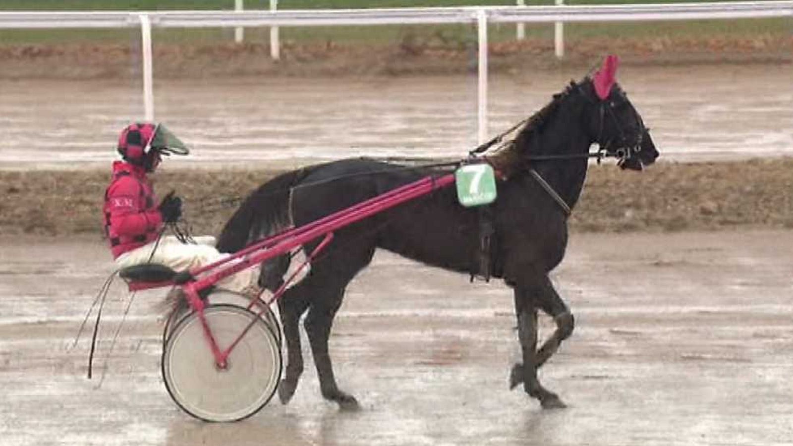 Turf - 14/12/14 - escuchar ahora