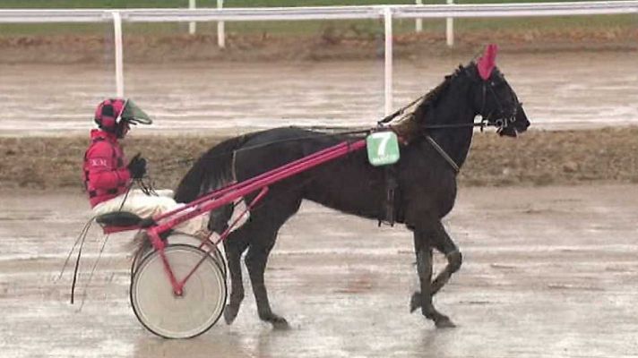 Turf - Turf - 14/12/14