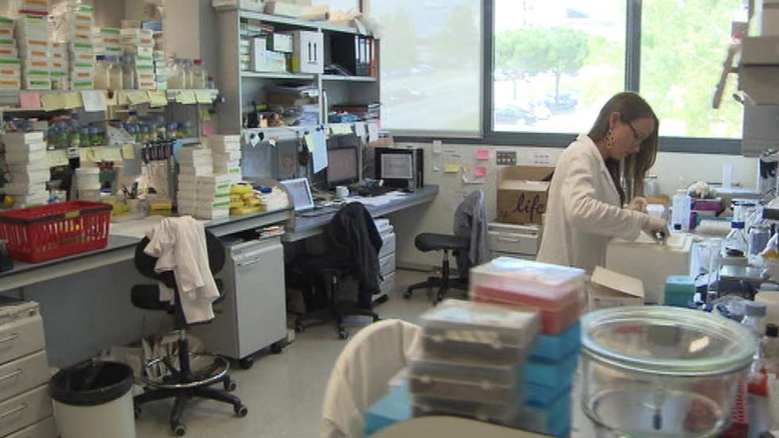 Premios a los jóvenes investigadores españoles, en Sevilla y Barcelona