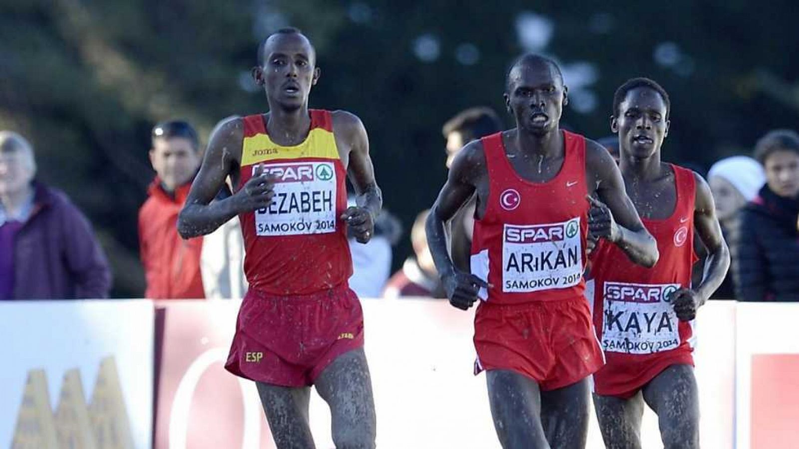 Cross - Campeonato de Europa: Carrera Senior Masculino