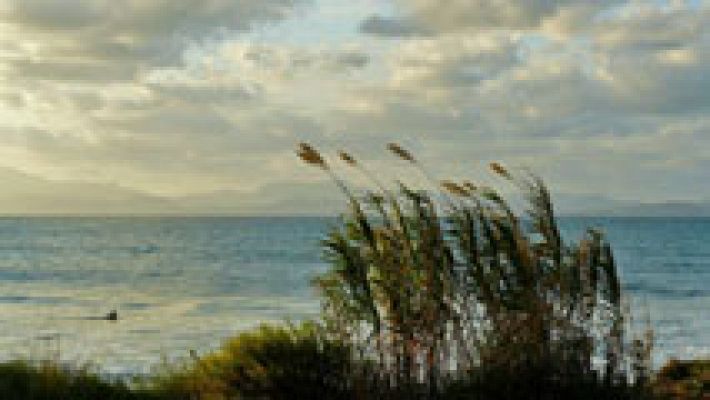 El tiempo - Intervalos de viento fuerte en el nordeste