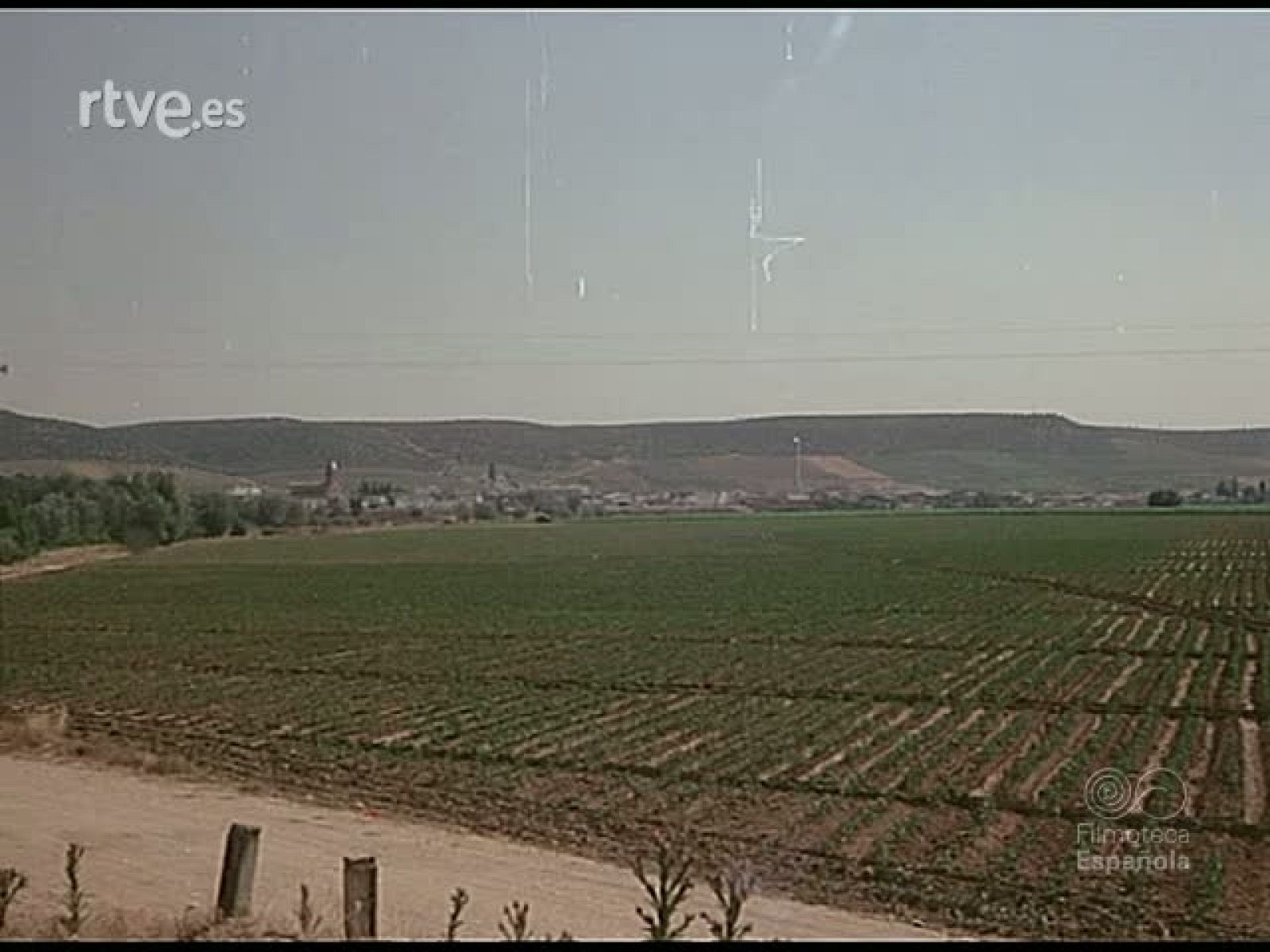 PEDRO BUENO:  PINTOR - Documentales Color | Ver