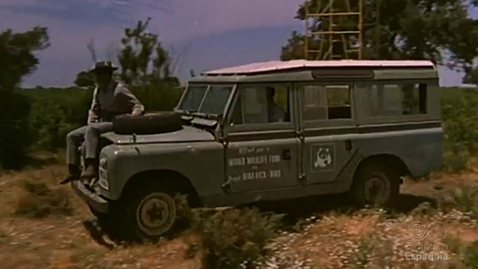 PRIMAVERA EN DOÑANA - Documentales Color | Ver