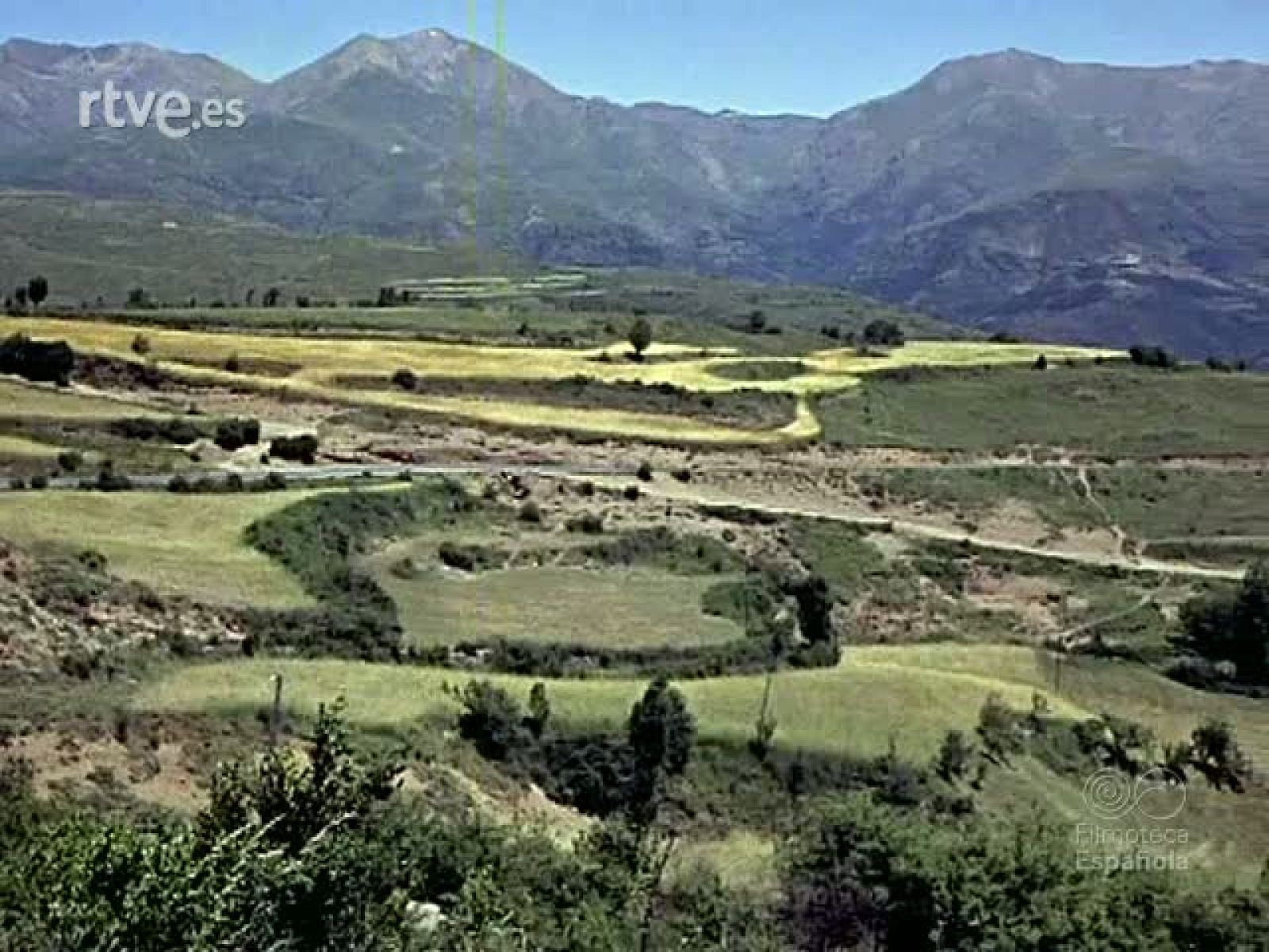 ROMANICO RESUCITADO - Documentales Color | Ver