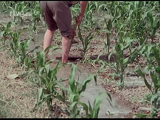 Documentales Color - REGADIOS DE ARAGON