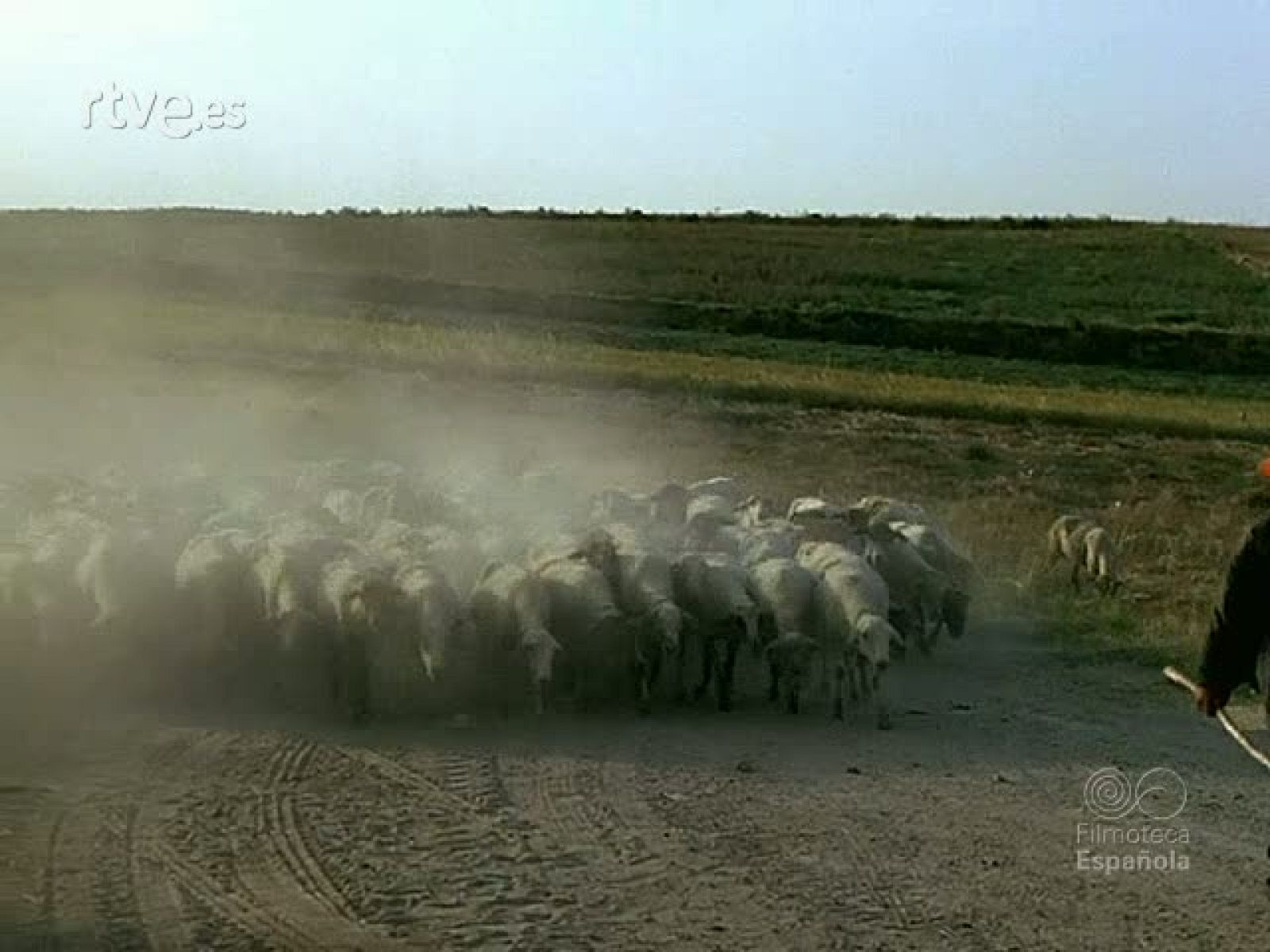 LA RUTA DE LOS CONQUISTADORES - Documentales Color | Ver