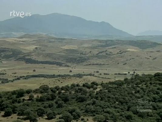 Documentales Color - RUMASINVER 77