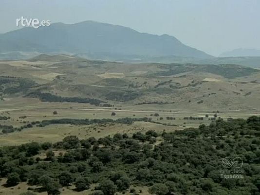 Documentales Color - RUMASINVER 77