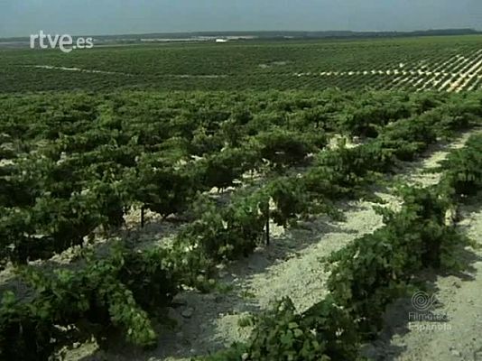 Documentales Color - RUMASA, PRIMERA POTENCIA DEL JEREZ