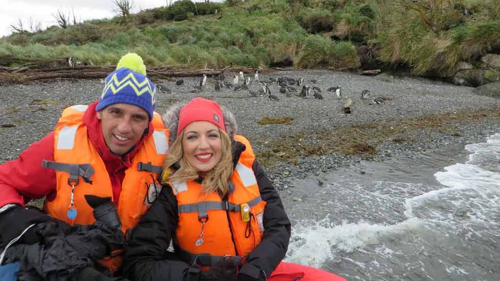 Pingüinos, nuestros vecinos chilenos