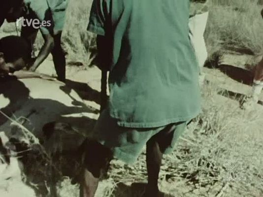 Documentales Color - SAFARI EN KENIA