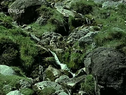 Documentales Color - TRUCHAS Y SALMONES