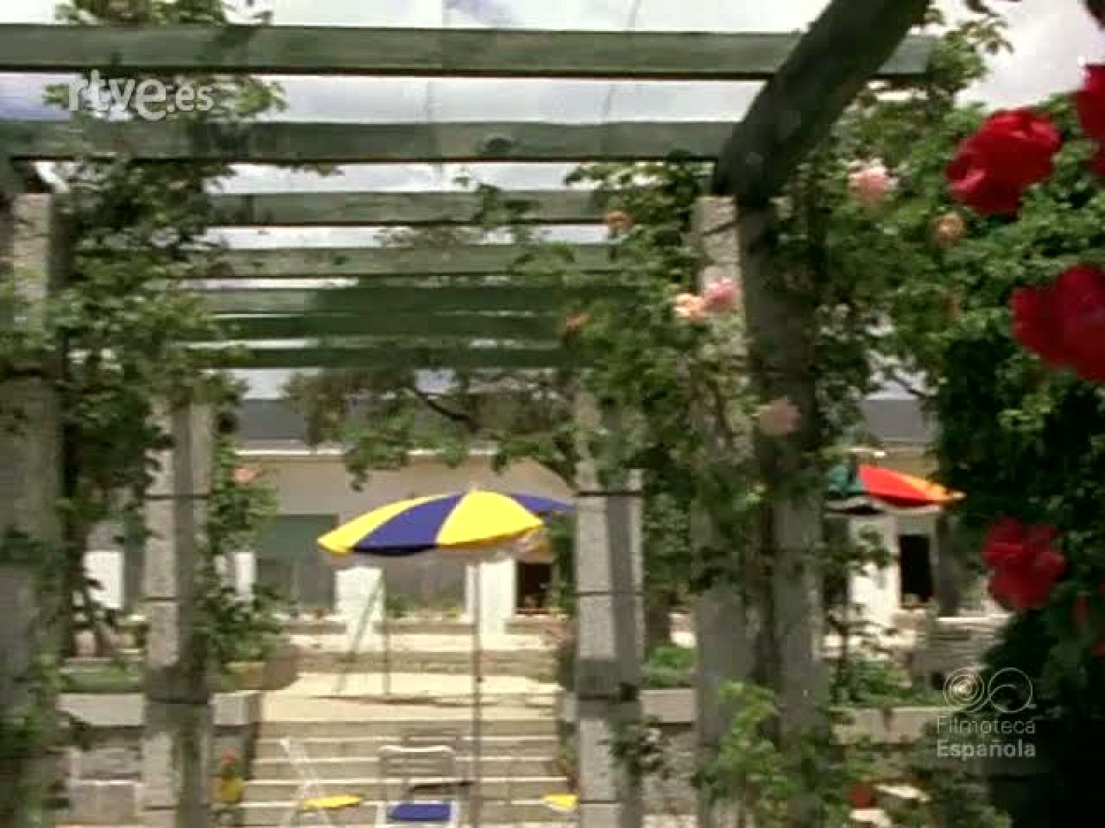 UN HOGAR COMO TODOS - Documentales Color | Ver