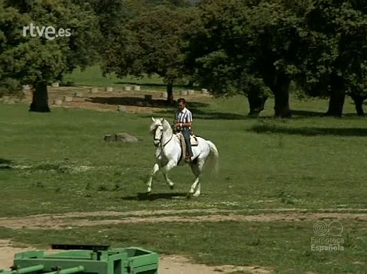 Documentales Color - TOREROS : PACO CAMINO