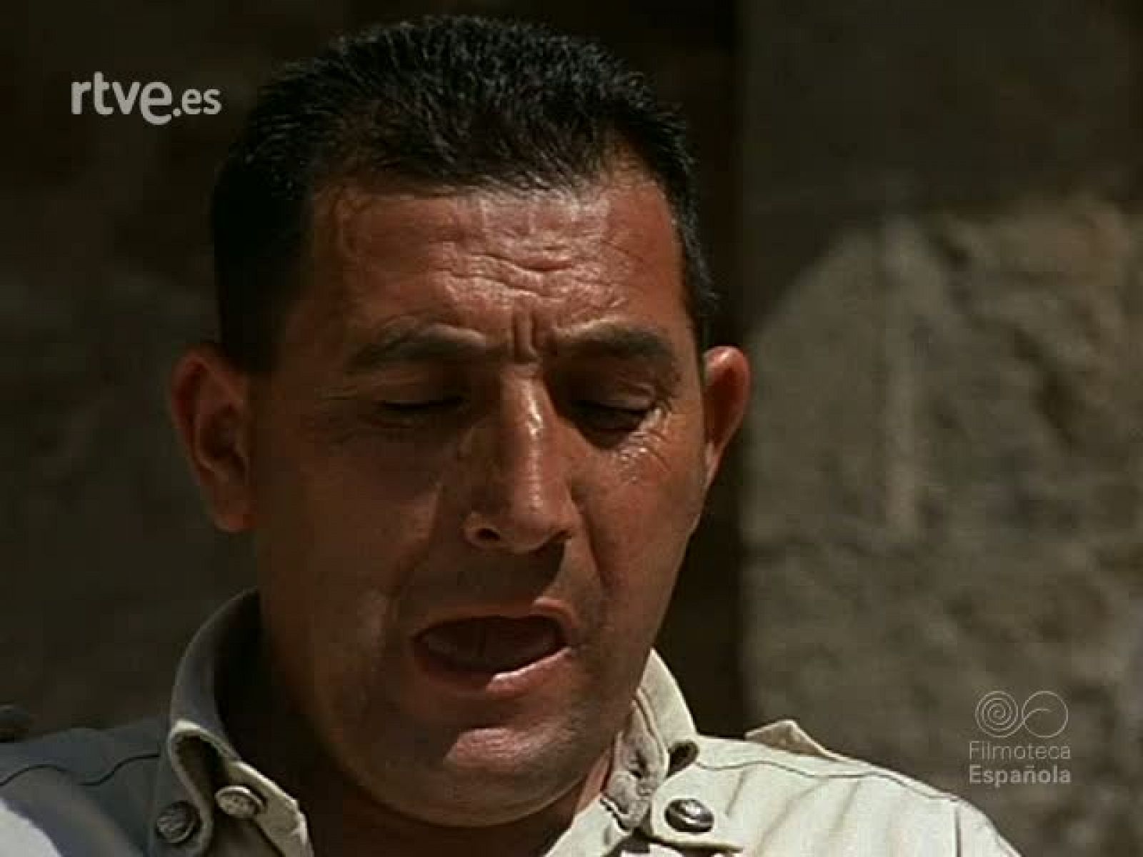 Filmoteca -  en RTVE Play