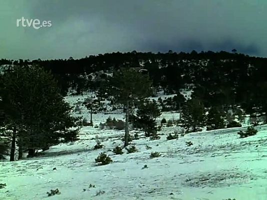 Documentales Color - EL TURIA