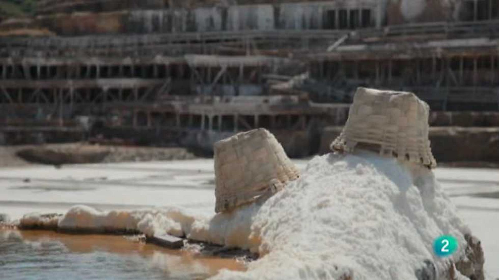 La aventura del saber - 17/12/14 - Ver ahora