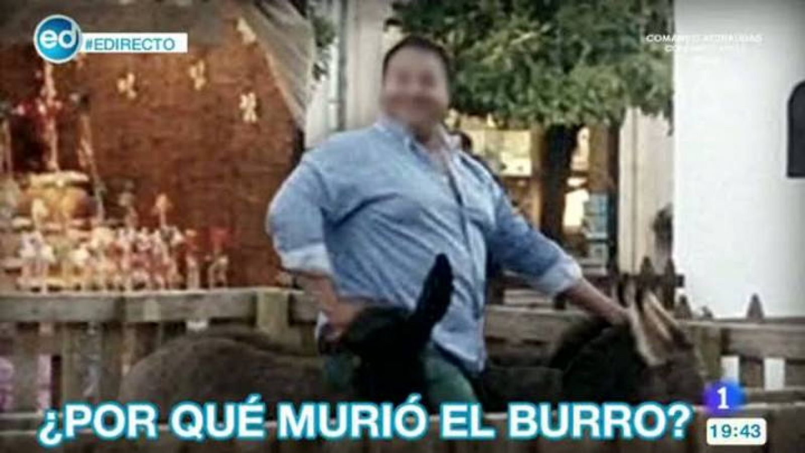 España Directo: ¿Por qué murió Platero, el burro de un belén de Lucena? | RTVE Play