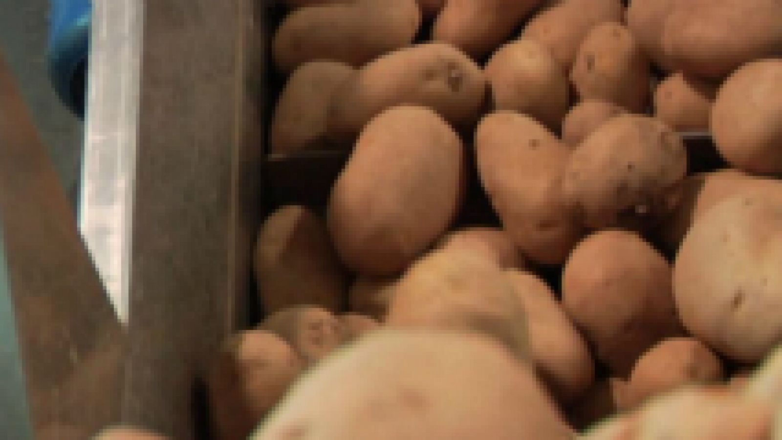 Aquí la Tierra: Patatas ecológicas "made in Spain" | RTVE Play