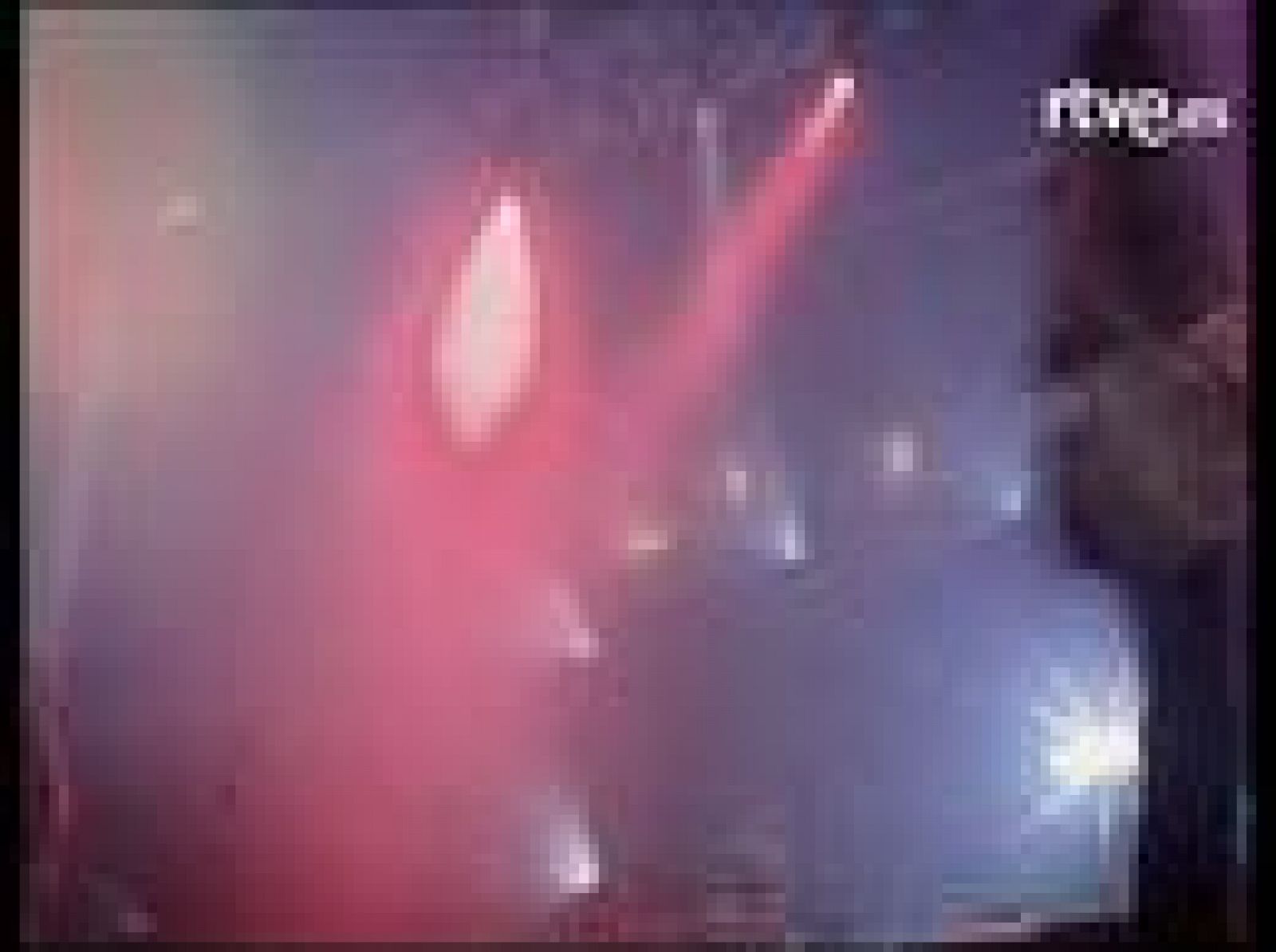 Sin programa: Barricada y Rosendo, en concierto  | RTVE Play