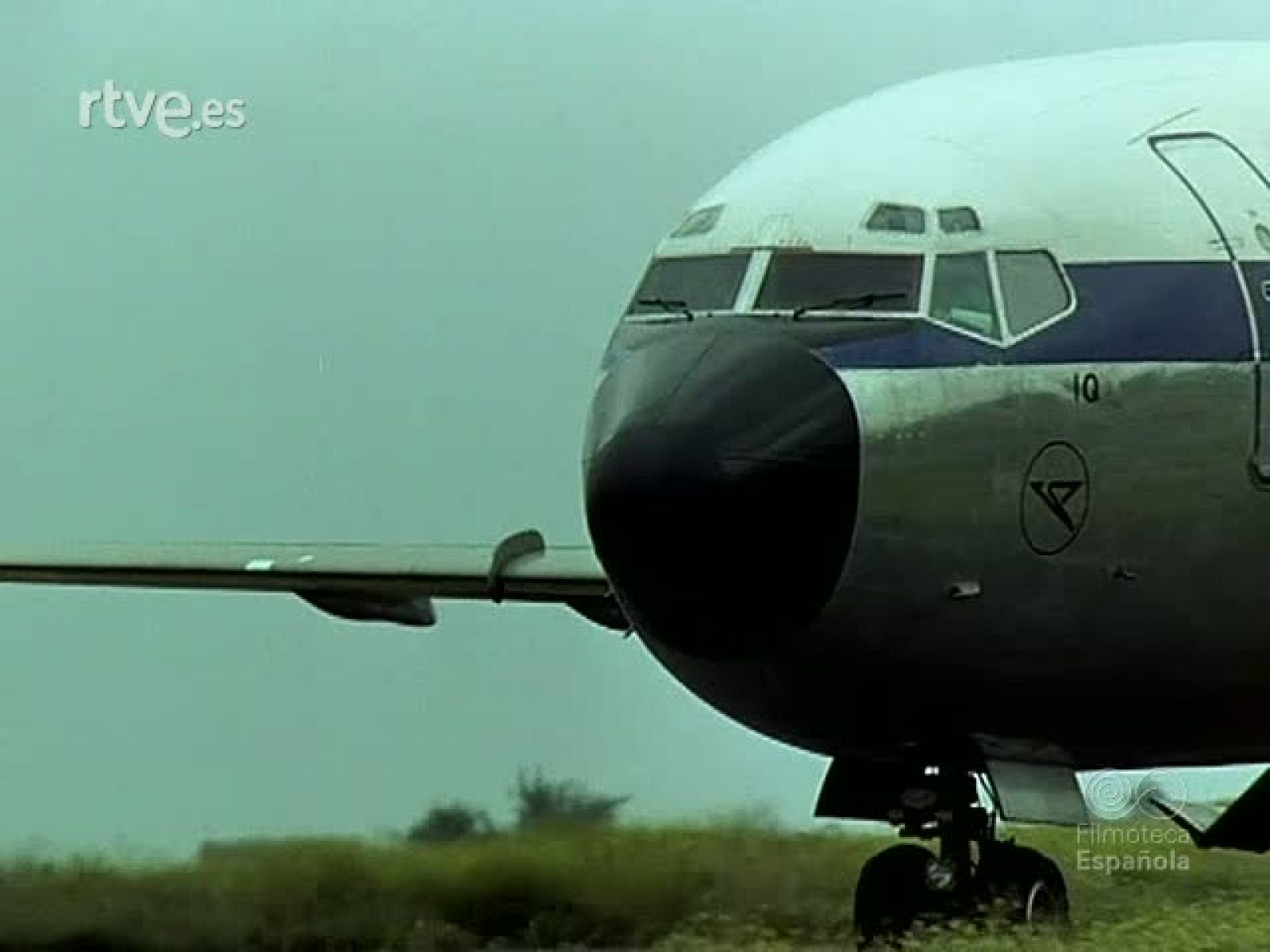 TABAIBA: NACIDA DE LAS ROCAS - Documentales Color | Ver