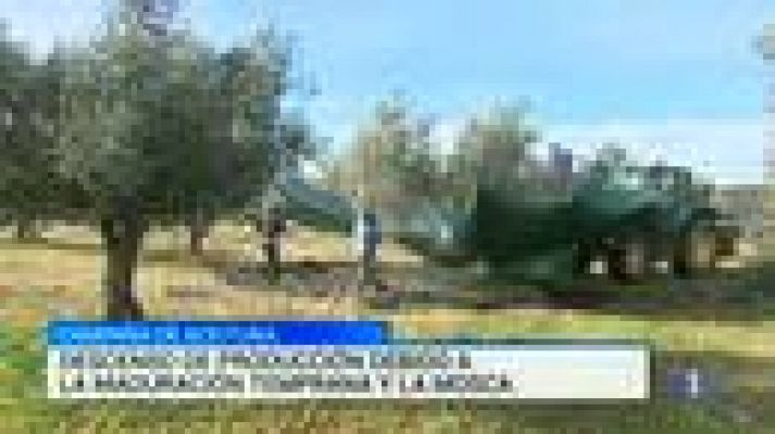 Noticias de Castilla-La Mancha - Noticias de Castilla-La Mancha - 18/12/14